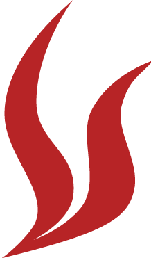 Deliviet Logo